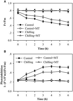 Exogenous Melatonin Mitigates Photoinhibition by Accelerating Non-photochemical Quenching in Tomato Seedlings Exposed to Moderate Light during Chilling